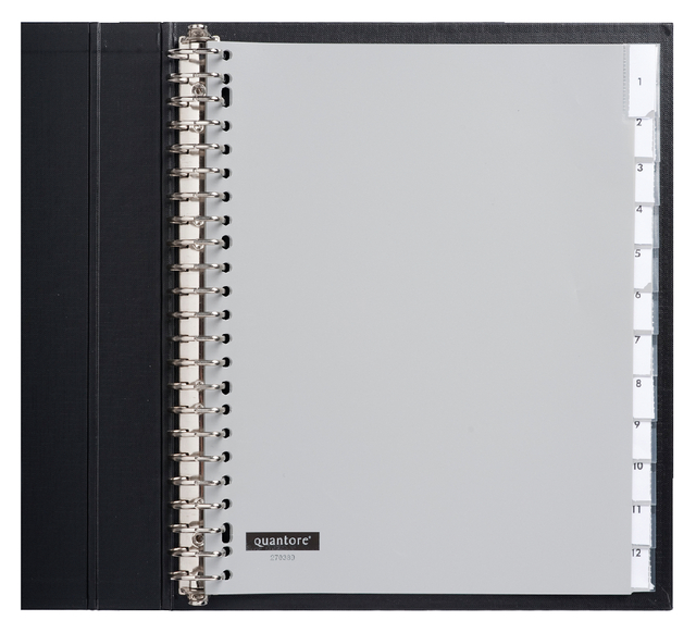 Intercalaires Quantore 23 perforations 12 onglets+fenêtre Extra Large PP