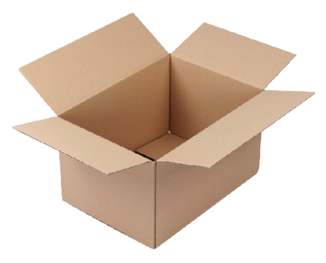 Boîte expédition CleverPack cannelure B  305x220x250mm brun 10 pièces