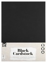 Hobbykarton CraftID A4 220gr zwart 10 vel