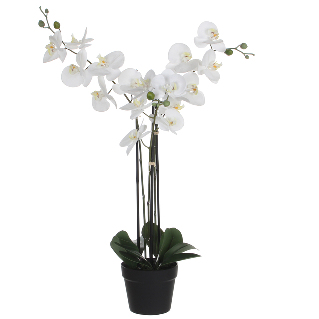 Kunstplant Mica Phalaenopsis orchideeën wit in plastic pot 79x51cm