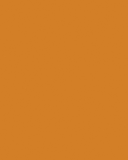 [142156] Carton bricolage Folia 1 face 48x68cm 380g nr 915 orange fluo