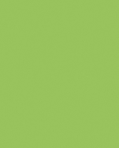 [142154] Carton bricolage Folia 48x68cm 380g nr 941 vert fluo