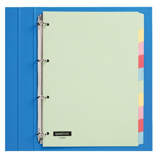 [270509] Tabbladen Quantore 4-gaats 10-delig assorti karton