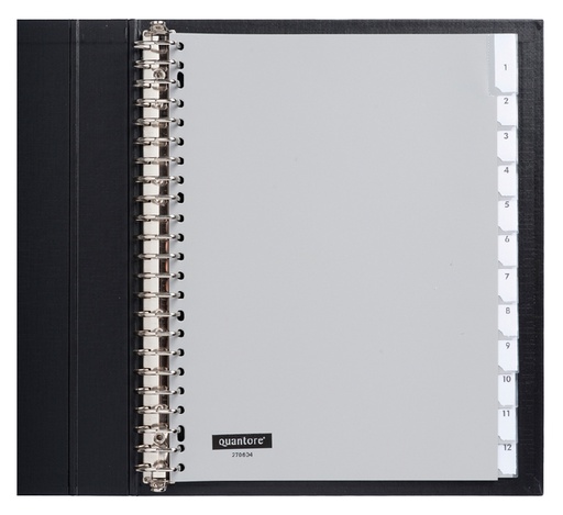 [270604] Intercalaires Quantore 23 perf 12 onglets à fenêtre gris PP