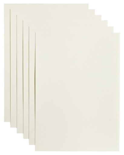 [746336] Papier copieur Papicolor A4 100g blanc 12 feuilles