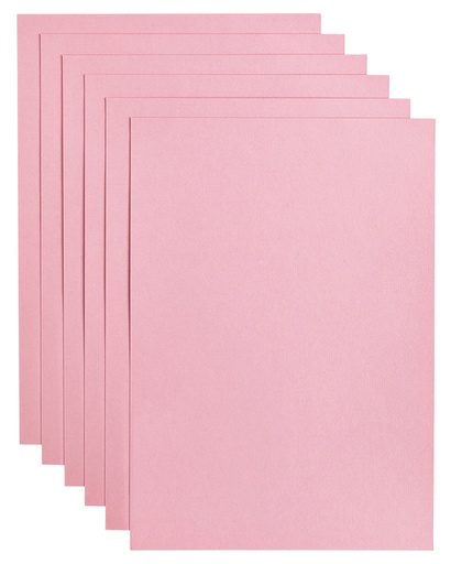 [746348] Kopieerpapier Papicolor A4 100gr 12 vel babyroze