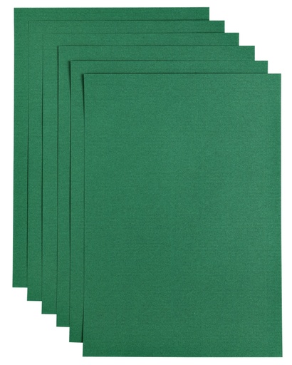 [746315] Papier copieur Papicolor A4 200g vert sapin  6 feuilles